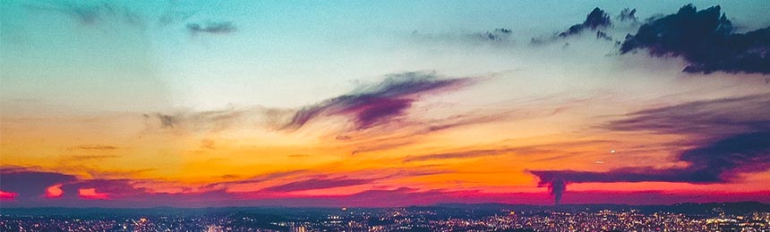 莒县茶虫网_莒县品茶